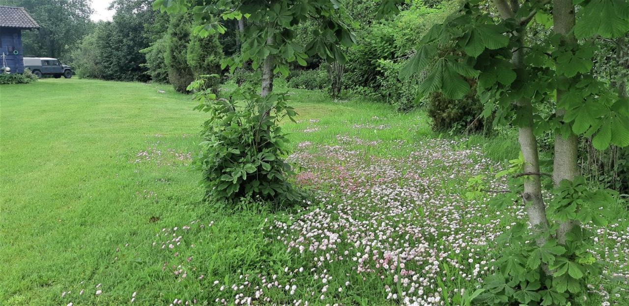 Saulepa Cottage Zewnętrze zdjęcie